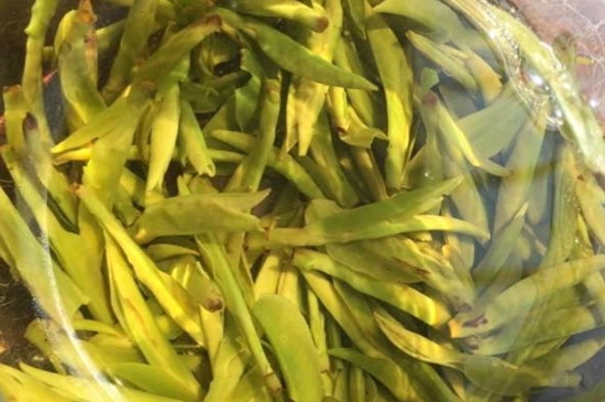 龍井是明前的好還是雨前的好，明前茶和雨前茶哪個(gè)好喝？