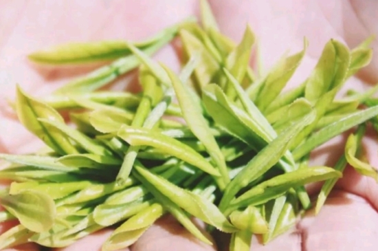 龍井是明前的好還是雨前的好，明前茶和雨前茶哪個(gè)好喝？