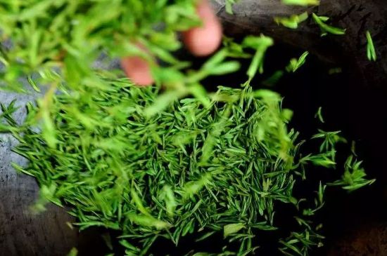龍井茶炒茶葉怎么炒出好茶色，茶葉怎樣做出來最綠？
