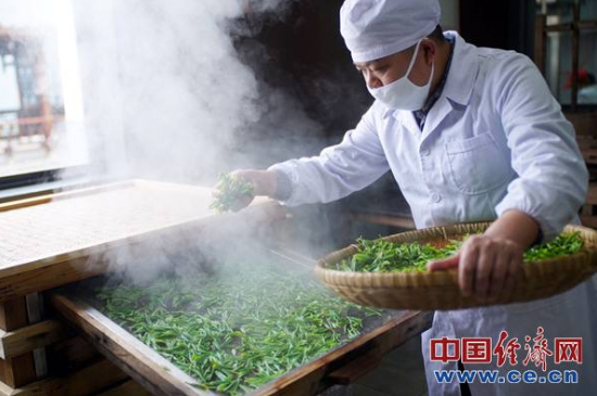 炒青綠茶與綠茶的區(qū)別，烘青和炒青哪個(gè)好喝？