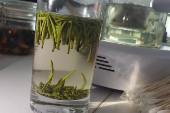 金壇雀舌算不算好茶，金壇雀舌屬于什么檔次茶葉？