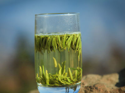 竹葉青茶怎么樣，檔次較高味道略苦價(jià)格比較貴