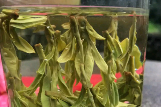 什么綠茶最香最好喝，綠茶口感與香氣排名