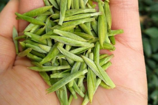 什么綠茶味道濃香，那個(gè)綠茶比較濃香？