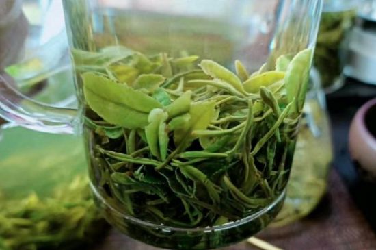 什么綠茶味道濃香，那個(gè)綠茶比較濃香？