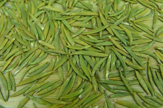 竹葉青和毛尖的區(qū)別，毛尖和竹葉青怎么分辨？