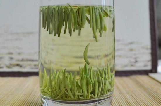 雀舌和竹葉青的區(qū)別,雀舌對比竹葉青圖片
