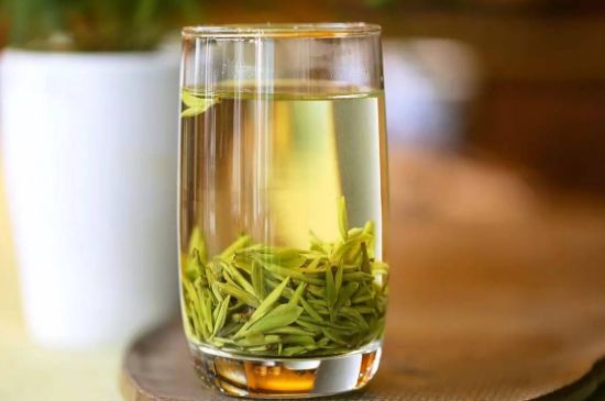 雀舌和竹葉青的區(qū)別,雀舌對比竹葉青圖片