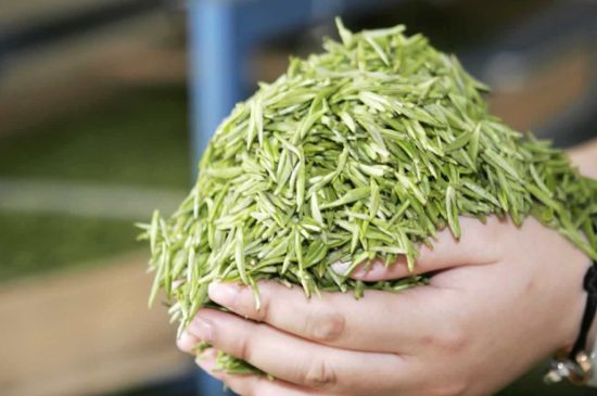 高山云霧茶屬于什么茶，高山云霧茶哪里的最好