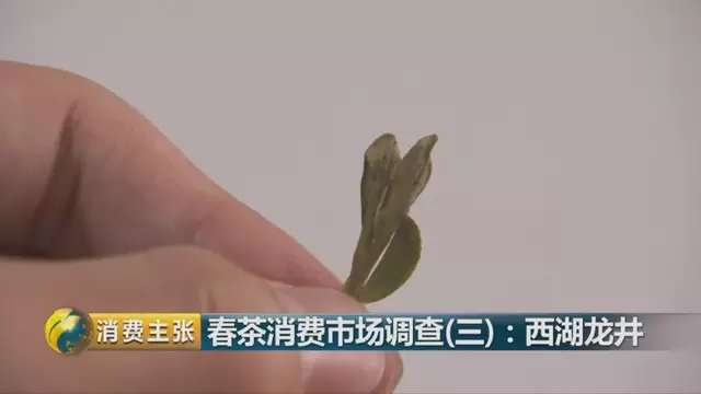 龍井群體種和43號的區(qū)別圖片，龍井43和群體種哪個好喝？