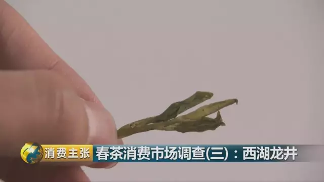 龍井群體種和43號的區(qū)別圖片，龍井43和群體種哪個好喝？