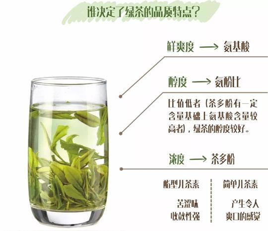 什么綠茶口味重口感濃郁，口味比較重的綠茶都有那些？