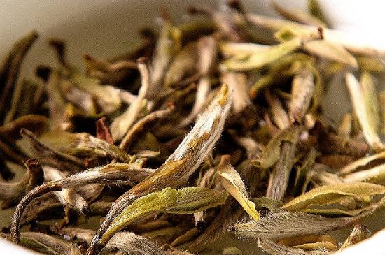 荒野銀針市場(chǎng)價(jià)多少，真正的荒野白毫銀針多少錢？