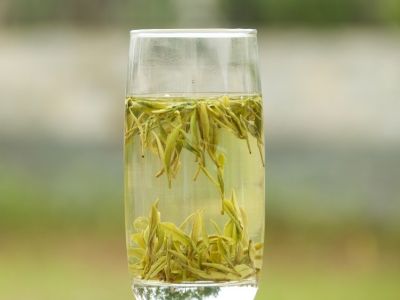 霍山黃芽算是好茶嗎，霍山黃芽屬于什么茶？