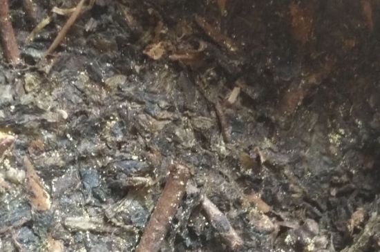 黑茶茯茶保存五大忌，茯茶收藏的注意事項(xiàng)