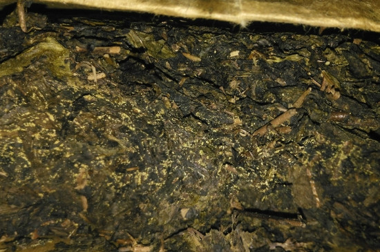 黑茶茯茶保存五大忌，茯茶收藏的注意事項(xiàng)