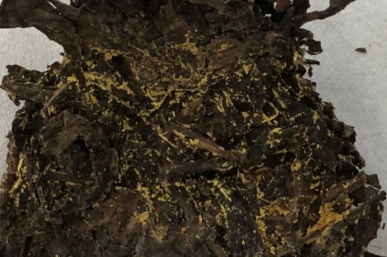 怎么知道涇渭茯茶是否變質(zhì)，茯磚茶金花和發(fā)霉的區(qū)別