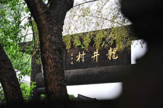 杭州買龍井茶攻略，怎么買到正宗的西湖龍井？