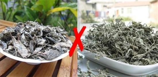 張家界茅巖莓茶與藤茶是同一種茶嗎，藤茶跟莓茶一不一樣？