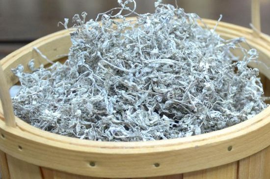 張家界莓茶真假對比，野生莓茶的鑒別方法