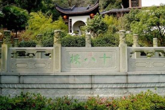 世界最貴的茶葉排行榜，十大最貴的茶