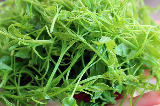 茅巖莓茶保質(zhì)期有多久，張家界莓茶存放時(shí)間長(zhǎng)了還能喝嗎？