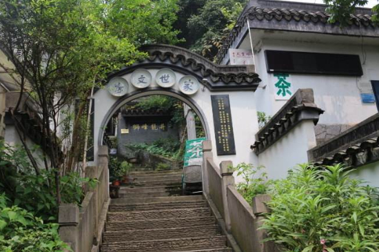 杭州龍井村買(mǎi)茶騙術(shù)，西湖龍井茶托騙局揭秘！