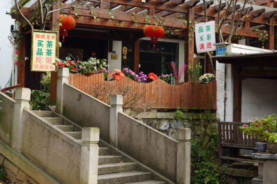 杭州龍井村買(mǎi)茶騙術(shù)，西湖龍井茶托騙局揭秘！