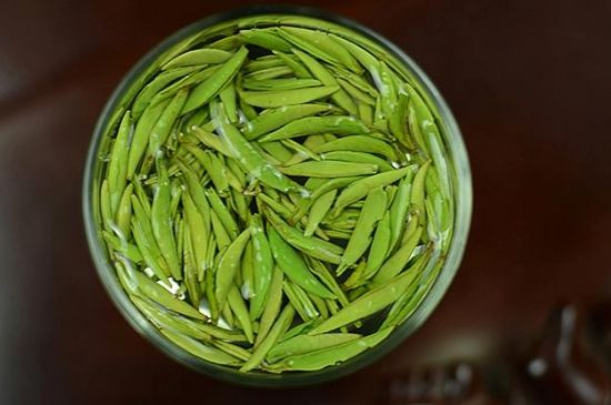 雀舌茶什么人不能喝，雀舌茶的功效與禁忌