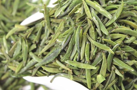 雀舌茶什么人不能喝，雀舌茶的功效與禁忌