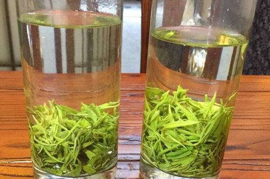 黃金茶的功效及禁忌癥，黃金茶有什么副作用嗎？