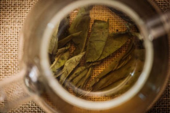 苦丁茶副作用，苦丁可以經(jīng)常喝嗎？