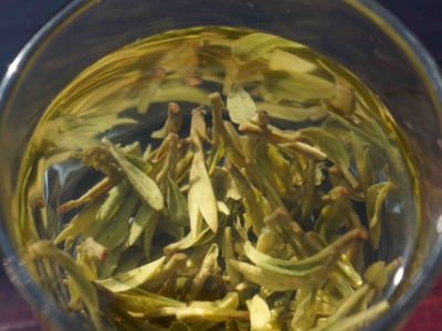 安吉白茶的功效與作用，簡單概括安吉白茶功效