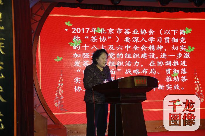 常務(wù)副會長兼秘書長付光麗做工作設(shè)想1
