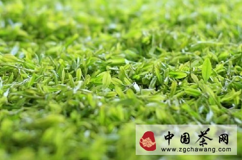 小刀讀報(bào)：西湖龍井春茶上市緋聞纏身