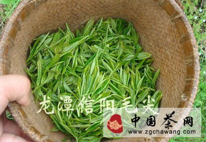 信陽毛尖：春茶即將開采 價(jià)格回歸市場