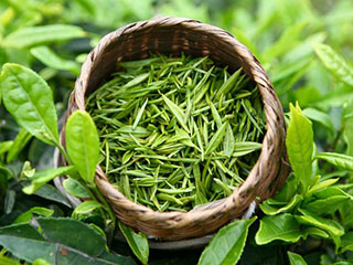 養(yǎng)生排毒茶，適合各類人群